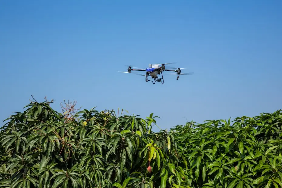 Drone da Agro Atlas sobrevoando duas árvores com céu azul de fundo